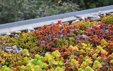 the cost of Ardrishaig green roof installation