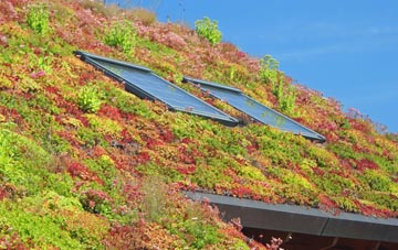 Ardrishaig living roof systems